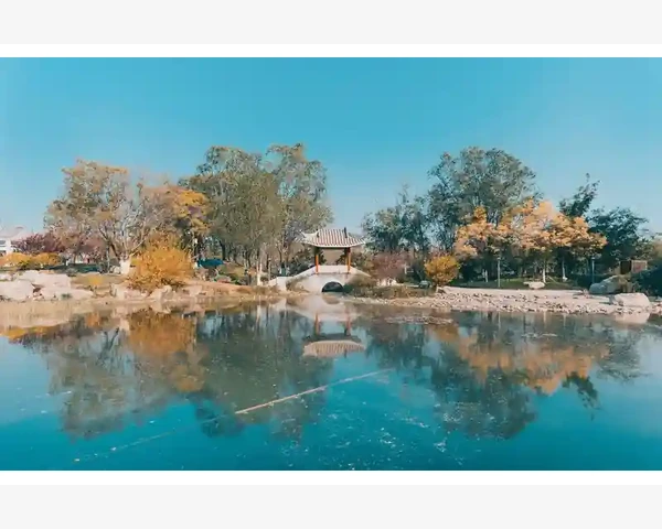 调理体质平和，让生活更加轻松自在